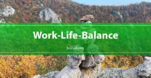 Work Life Balance bonoboro Zen Steine Natur Herbst Beitragsbild